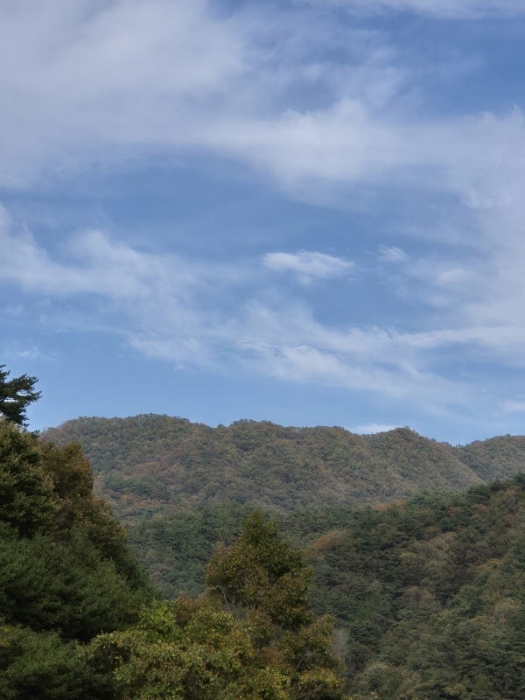 전남 화순군 동복면 임야 경매 물건 사진 6 · 2024타경8063