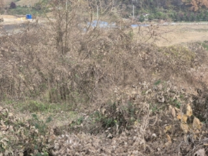 전남 곡성군 오산면 전 경매 물건 사진 4 · 2024타경85145