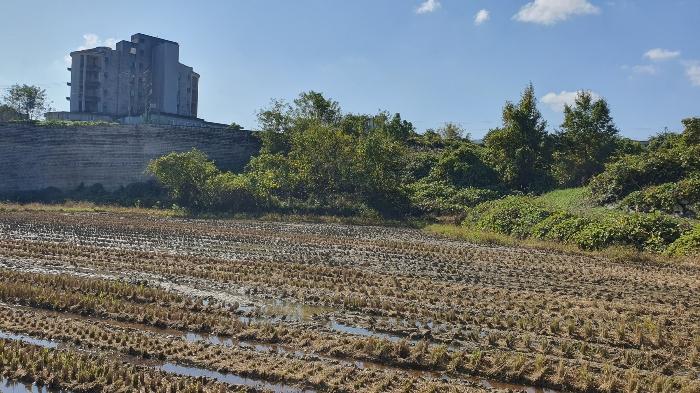 전라남도 곡성군 오산면 운곡리 76-3 전 경매 물건 사진