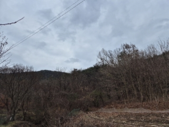 전남 곡성군 삼기면 임야 경매 물건 사진