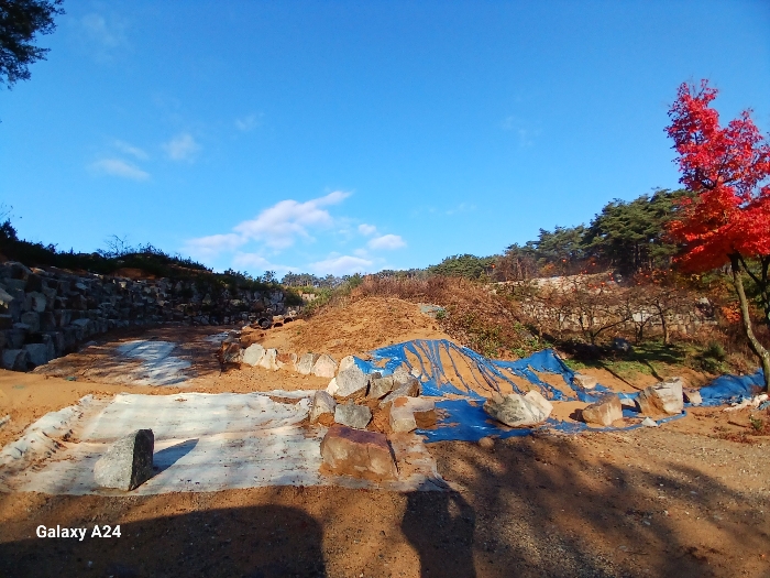 전라남도 장성군 서삼면 모암리 산46 임야 경매 물건 사진