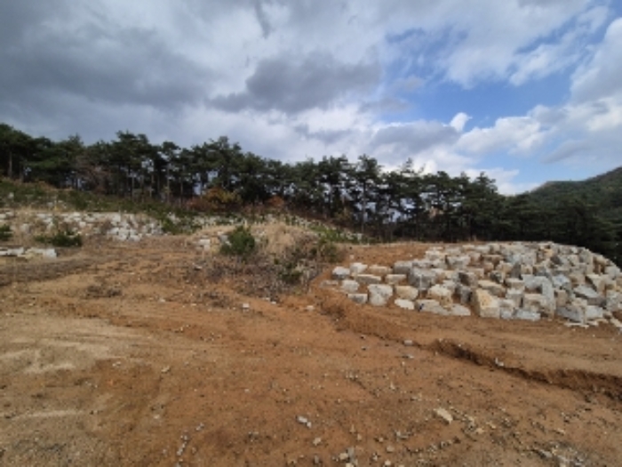 전남 장성군 서삼면 임야 경매 물건 사진 3 · 2024타경86889
