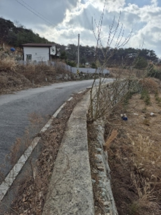 전남 장성군 북이면 전 경매 물건 사진 2 · 2024타경86940