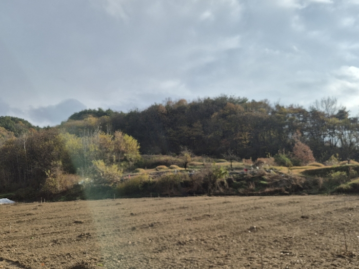 전라남도 곡성군 고달면 목동리 39 전 경매 물건 사진