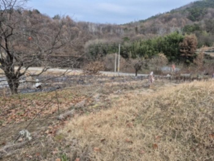 전남 곡성군 고달면 전 경매 물건 사진 2 · 2024타경87066