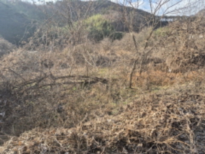 전남 담양군 용면 임야 경매 물건 사진 4 · 2024타경87578