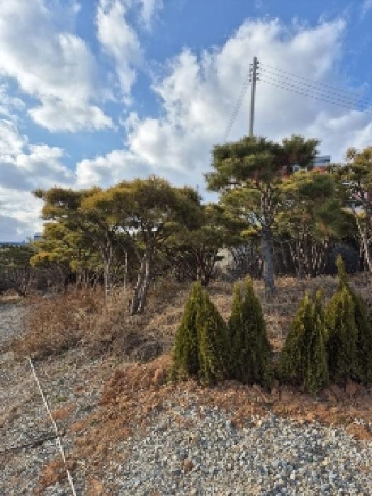 광주 광산구 도천동 전 경매 물건 사진 5 · 2024타경89178