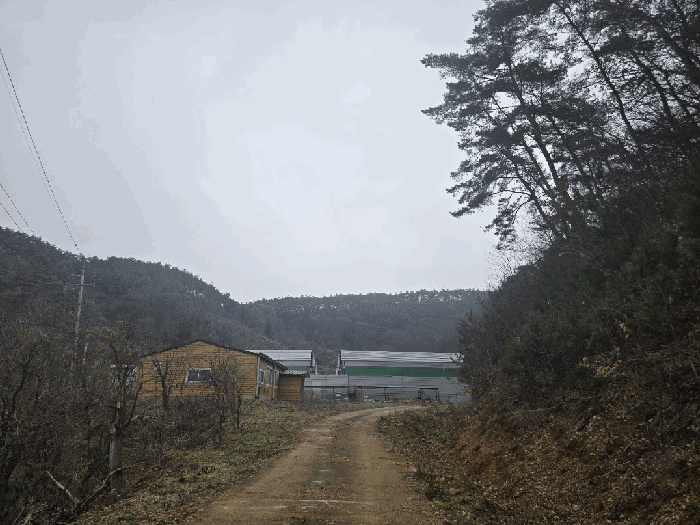 전남광주통합특별시 화순군 백아면 용곡리 321-1 동물및식물관련시설 경매 물건 사진