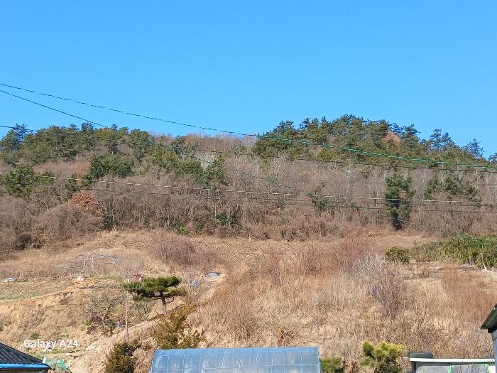 전남 영광군 염산면 임야 경매 물건 사진