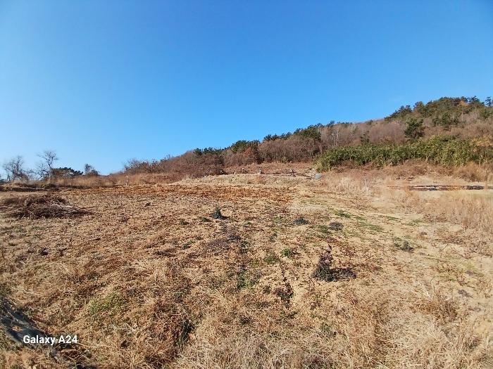 전남 영광군 염산면 임야 경매 물건 사진 4 · 2024타경9424