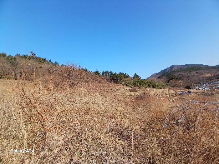 전남 영광군 염산면 임야 경매 물건 사진 6 · 2024타경9424