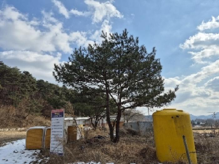 전남 담양군 금성면 교육연구시설 경매 물건 사진 3 · 2024타경9608