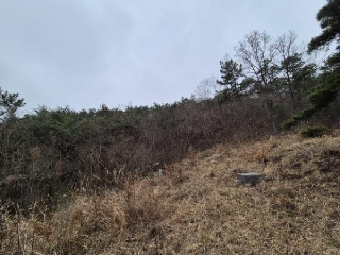 전남 나주시 삼영동 임야 경매 물건 사진
