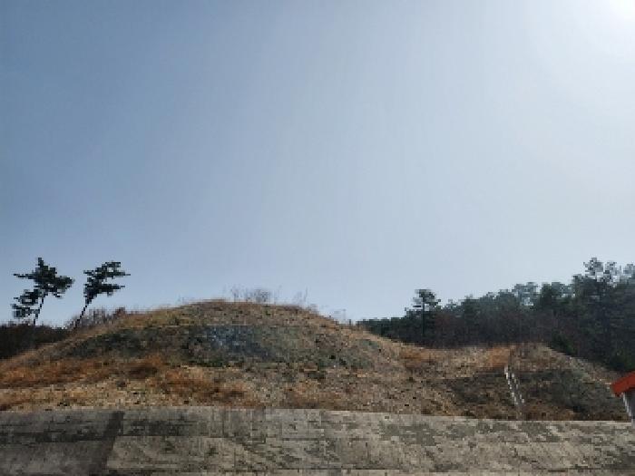 광주 서구 벽진동 임야 경매 물건 사진 6 · 2025타경1199