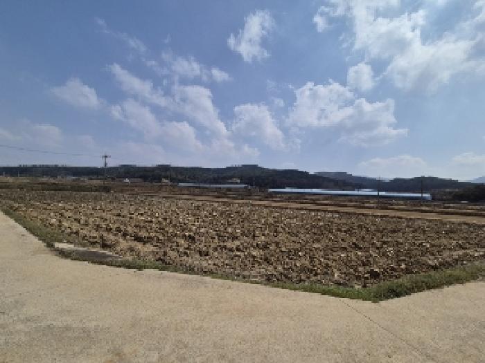 전남 영광군 대마면 전 경매 물건 사진 3 · 2025타경1595