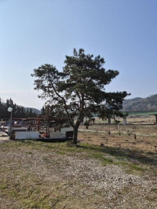 전남 담양군 창평면 전 경매 물건 사진 4 · 2025타경1847