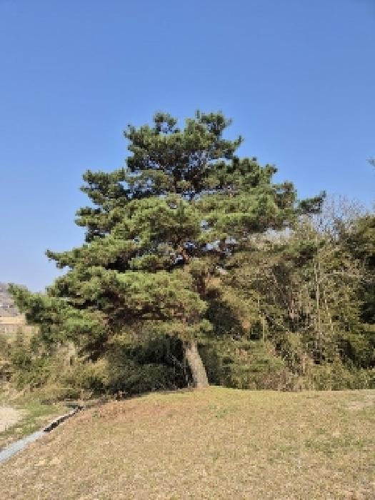 전남 담양군 창평면 전 경매 물건 사진 5 · 2025타경1847