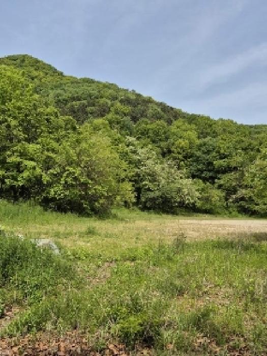 광주 동구 지산동 전 경매 물건 사진