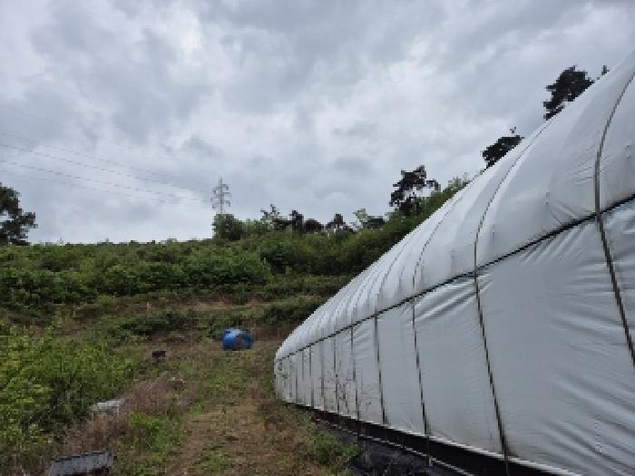 전남 나주시 봉황면 임야 경매 물건 사진 6 · 2025타경2116
