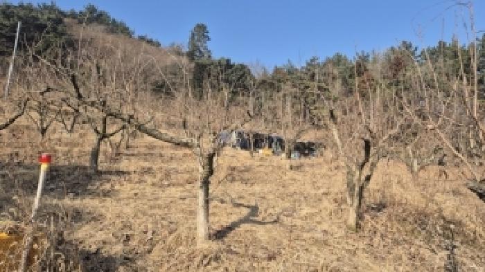 전남 나주시 봉황면 임야 경매 물건 사진 6 · 2025타경2291