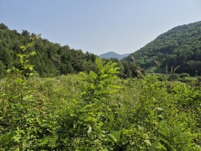 전남 담양군 가사문학면 임야 경매 물건 사진 2 · 2025타경2864