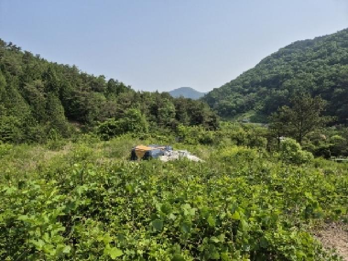 전남 담양군 가사문학면 임야 경매 물건 사진 3 · 2025타경2864
