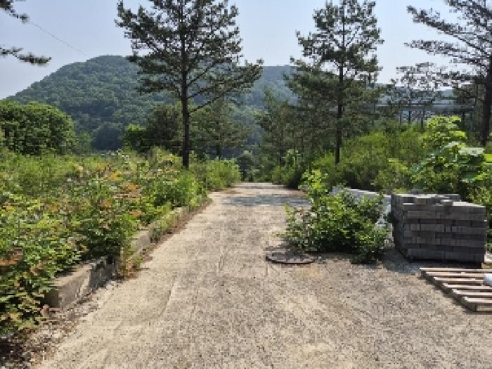 전남 담양군 가사문학면 임야 경매 물건 사진 4 · 2025타경2864
