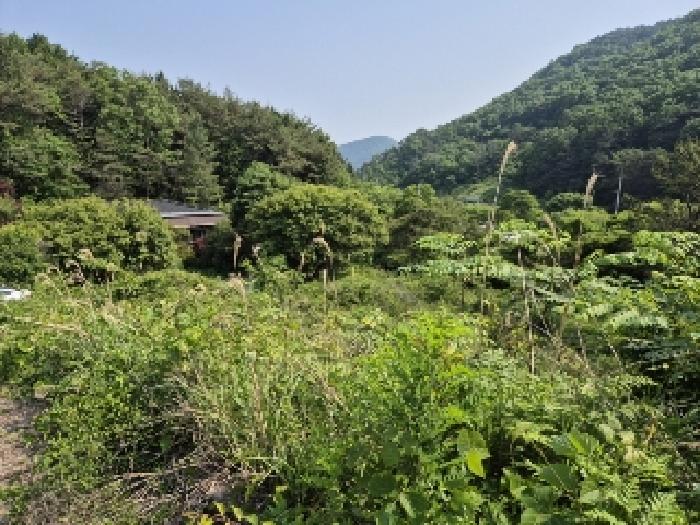 전남 담양군 가사문학면 임야 경매 물건 사진 5 · 2025타경2864