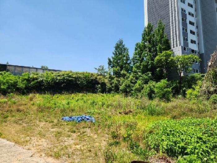 광주 서구 풍암동 대지 경매 물건 사진 6 · 2025타경2895