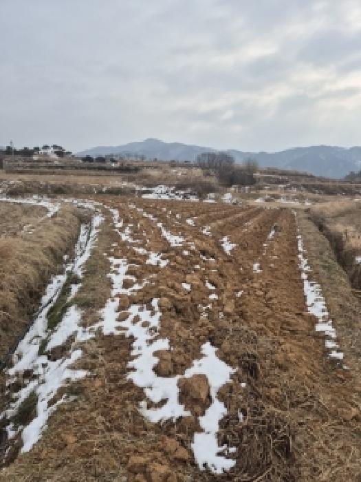 전남 영광군 묘량면 전 경매 물건 사진