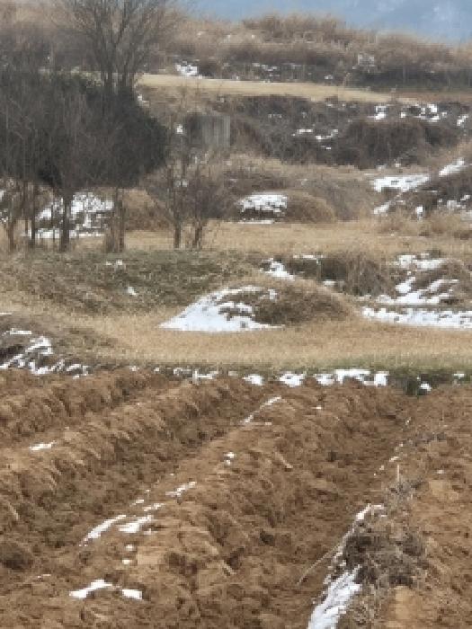 전남 영광군 묘량면 전 경매 물건 사진 2 · 2025타경30357