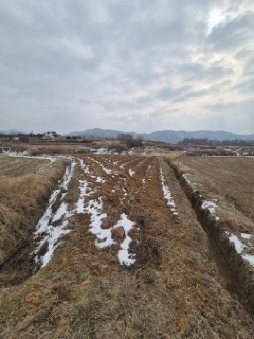 전남 영광군 묘량면 전 경매 물건 사진 3 · 2025타경30357