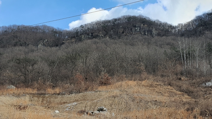 전남 화순군 동면 과수원 경매 물건 사진 6 · 2025타경30470