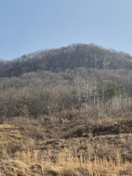 전남 화순군 동면 과수원 경매 물건 사진