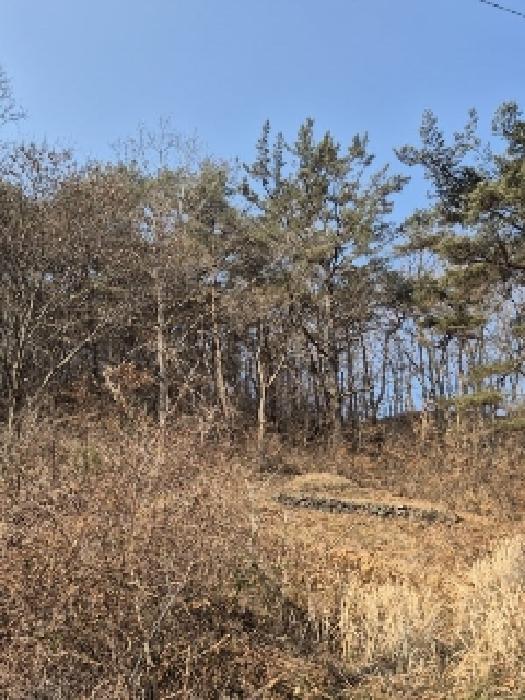 전남 화순군 동면 전 경매 물건 사진 4 · 2025타경30555
