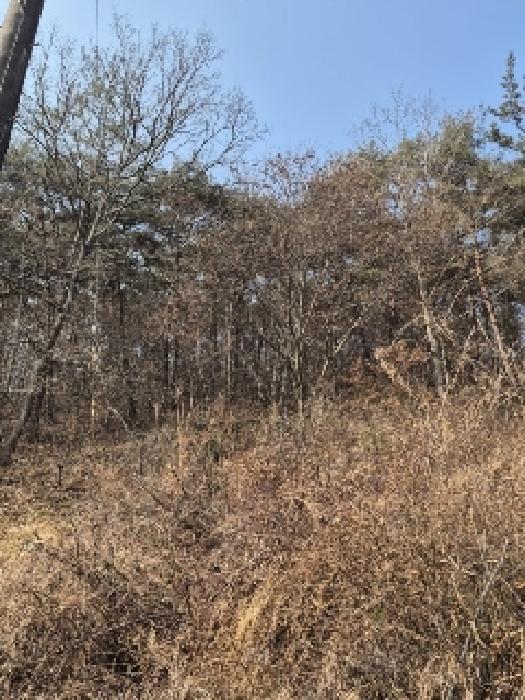 전남 화순군 동면 전 경매 물건 사진 5 · 2025타경30555
