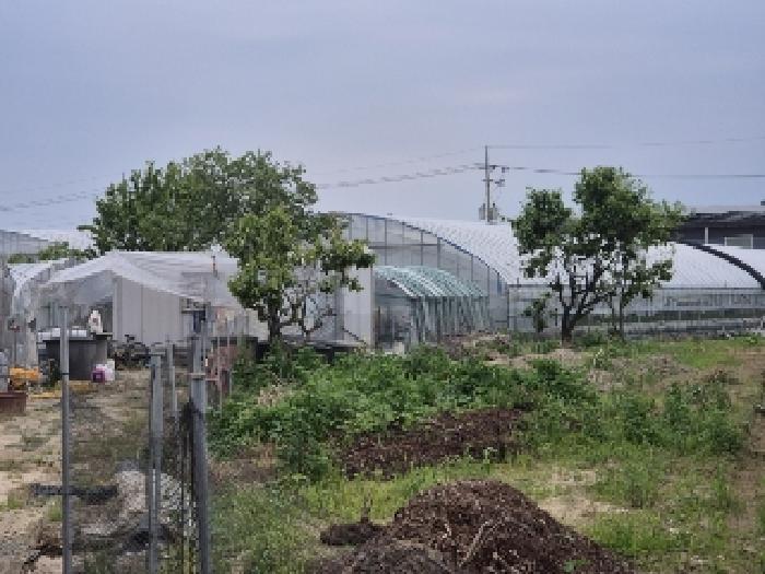 광주 남구 승촌동 답 경매 물건 사진 2 · 2025타경3102