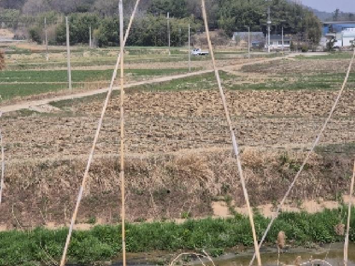 전남 나주시 반남면 답 경매 물건 사진