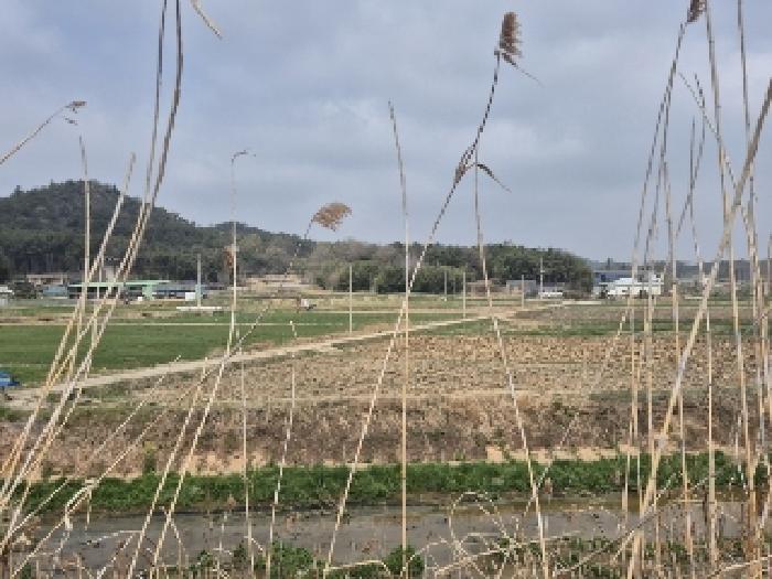 전남 나주시 반남면 답 경매 물건 사진 2 · 2025타경32373