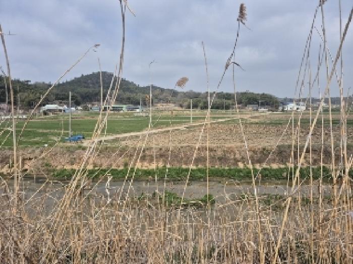 전남 나주시 반남면 답 경매 물건 사진 3 · 2025타경32373