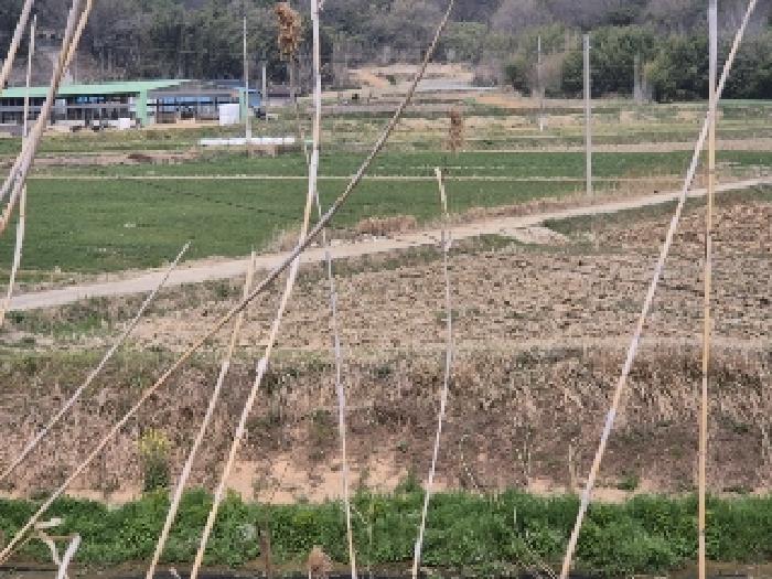 전남 나주시 반남면 답 경매 물건 사진 4 · 2025타경32373