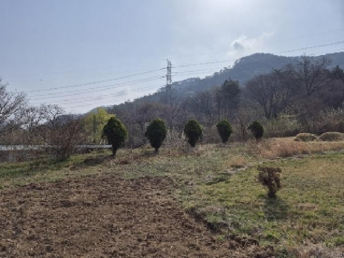 전남 담양군 가사문학면 전 경매 물건 사진 2 · 2025타경32416