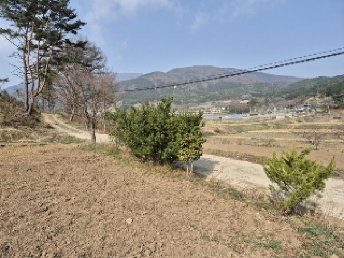 전남 담양군 가사문학면 전 경매 물건 사진 4 · 2025타경32416