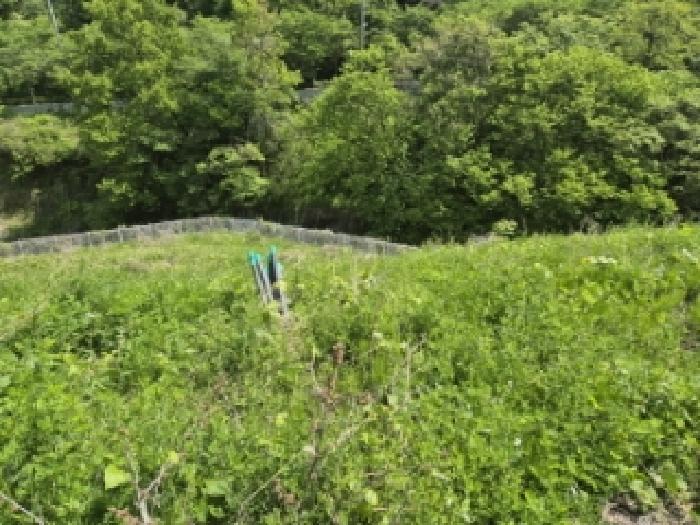 전남 담양군 담양읍 공원 경매 물건 사진 4 · 2025타경32624