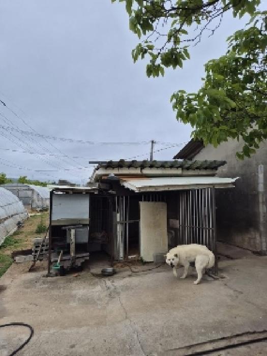 전남 영광군 영광읍 임야 경매 물건 사진 4 · 2025타경32715