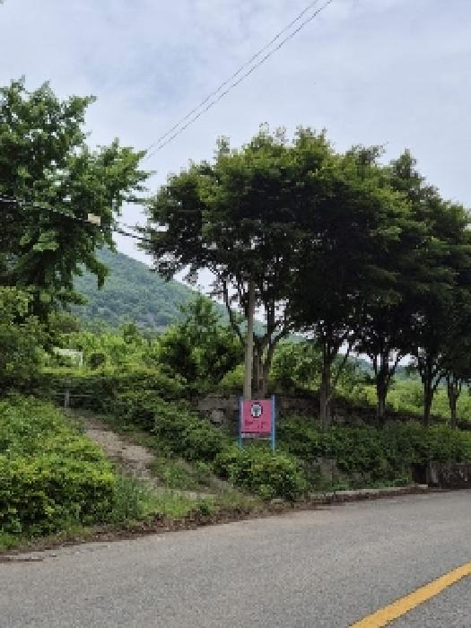 전남 화순군 화순읍 전 경매 물건 사진 4 · 2025타경32773