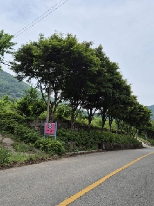 전남 화순군 화순읍 전 경매 물건 사진 6 · 2025타경32773