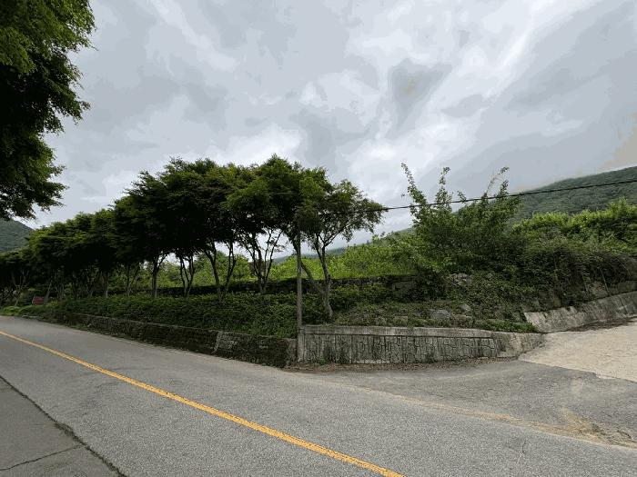 전남 화순군 화순읍 전 경매 물건 사진 3 · 2025타경32773