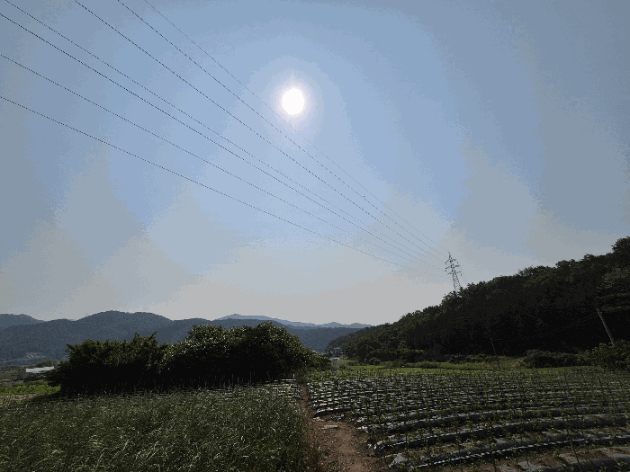 전남 장성군 삼계면 전 경매 물건 사진 6 · 2025타경32819
