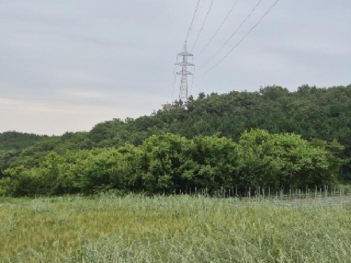 전남 장성군 삼계면 전 경매 물건 사진